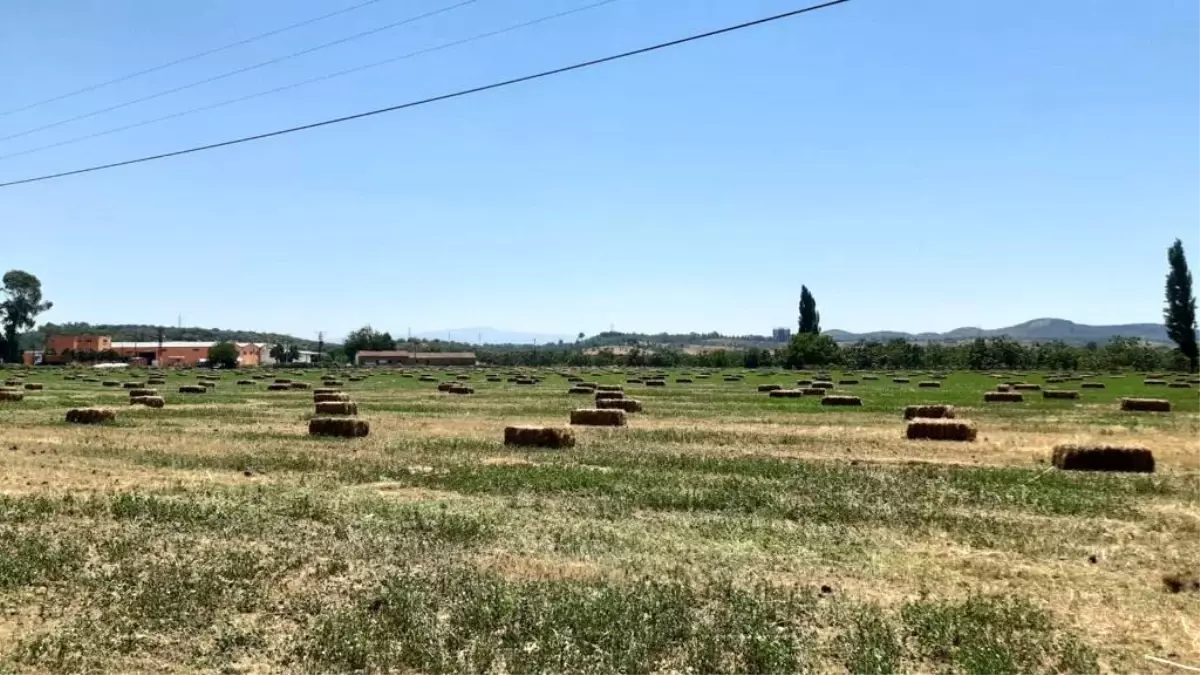 Germencik, kırsal kalkınma hamlesini sürdürüyor