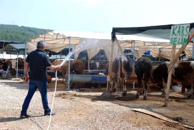 İzmir'de kurban pazarı hareketliliği