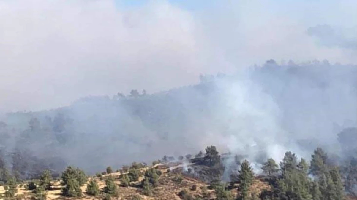 Kıbrıs Rum Kesimi\'ndeki yangın kontrol altına alınamıyor