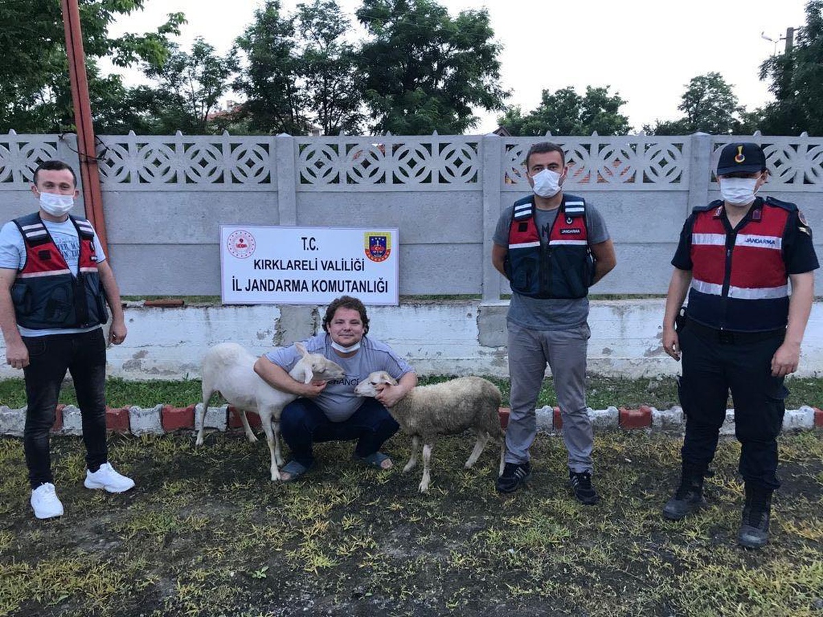 Kırklareli\'nde hırsızlığa karşı uyarı için gidilen ağılda çalıntı 2 koyun bulundu