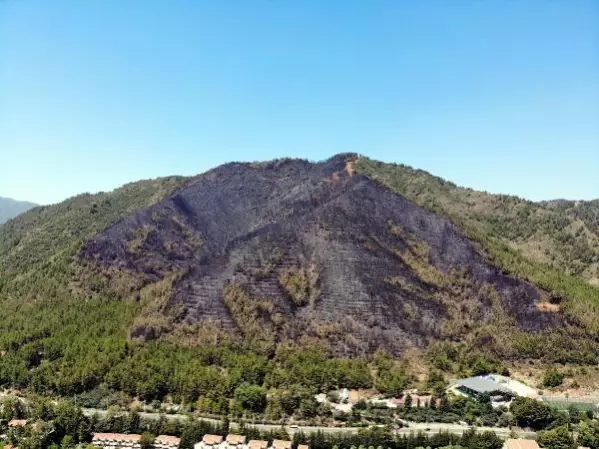 Marmaris'teki orman yangını enerji nakil hatlarından çıkmış