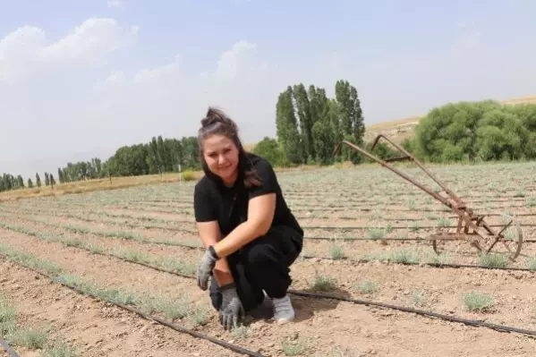 Tarım için bankacılığı bırakan Aylin'in hedefi, ölmez otu yağı ihracatı