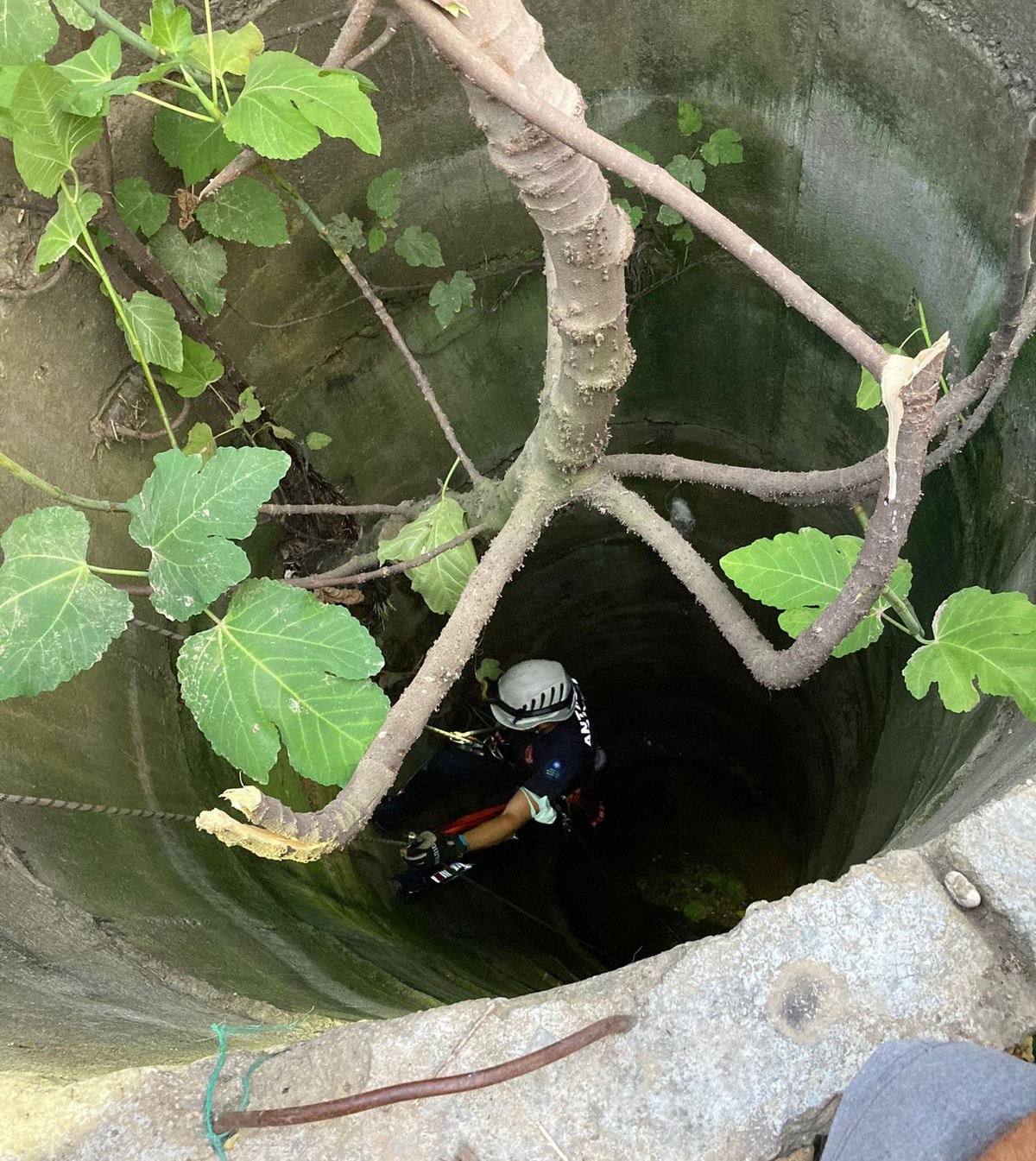 Antalya\'da kuyuya düşen kedi yavrusunu itfaiye kurtardı