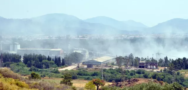 Son dakika haber: Dalaman'da ormanlık alana sıçrayan yangının başladığı fabrikada soğutma çalışmaları devam ediyor