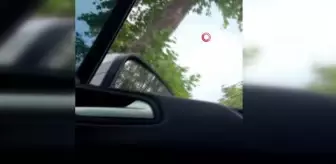 Son dakika haber | Değnekçiye polis şoku kamerada