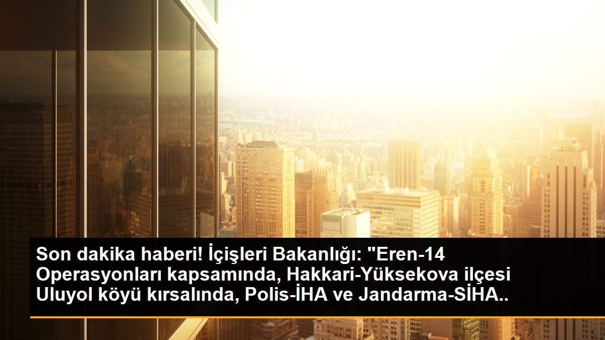 2 terörist Hakkari kırsalında etkisiz hale getirildi