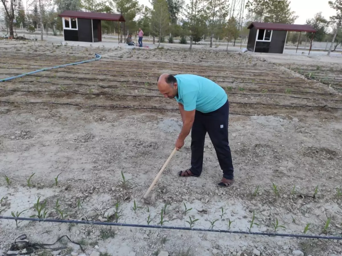 Karapınar Belediyesi, ilçeye hobi bahçeleri kazandırdı