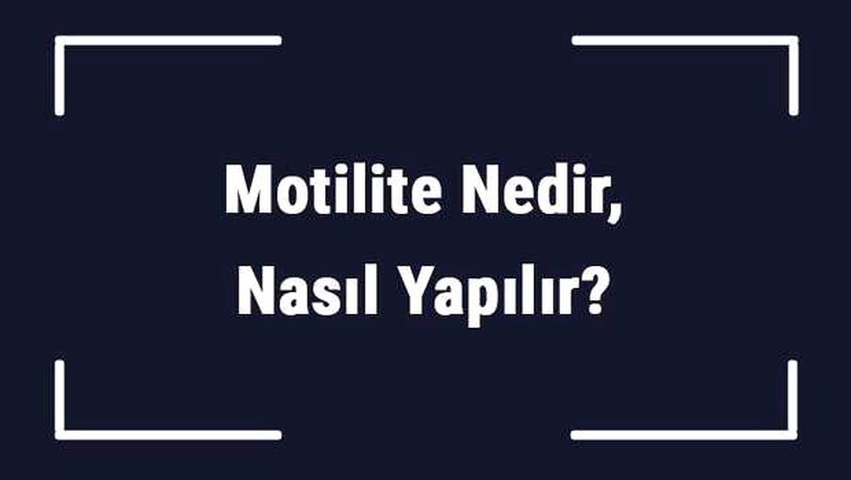 Motilite Nedir, Nasıl Yapılır? Sperm Testinde Motilite Kaç Olmalıdır?