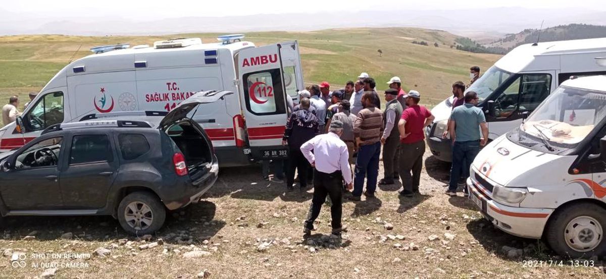 Ormanlık alanda odun devrilmesi sonucu can verdi