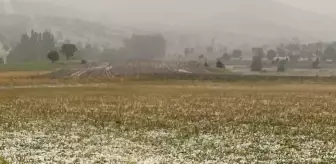 Dolu, ekili alanlara zarar verdi