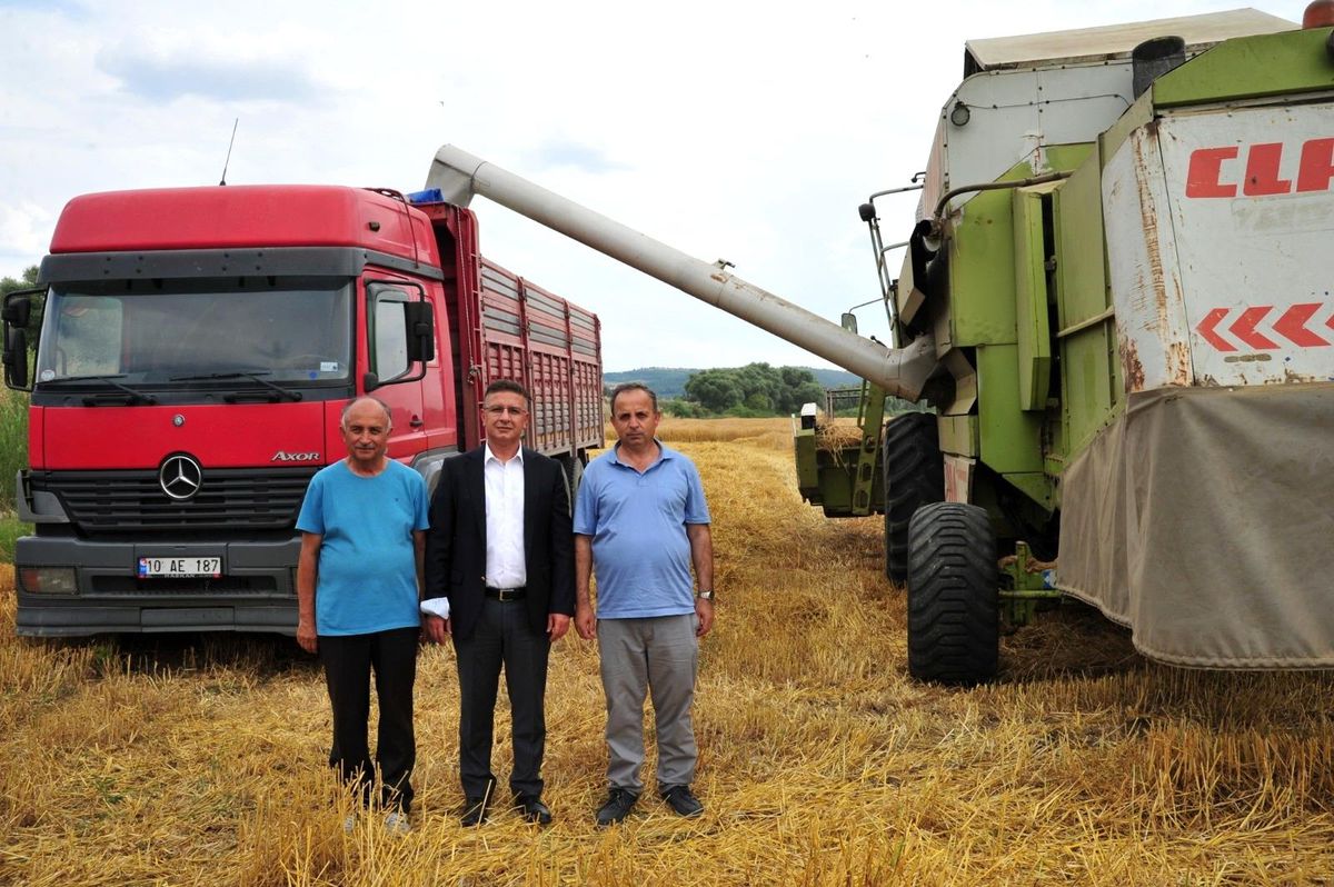 Balıkesir Üniversitesinde ekin hasadı başladı