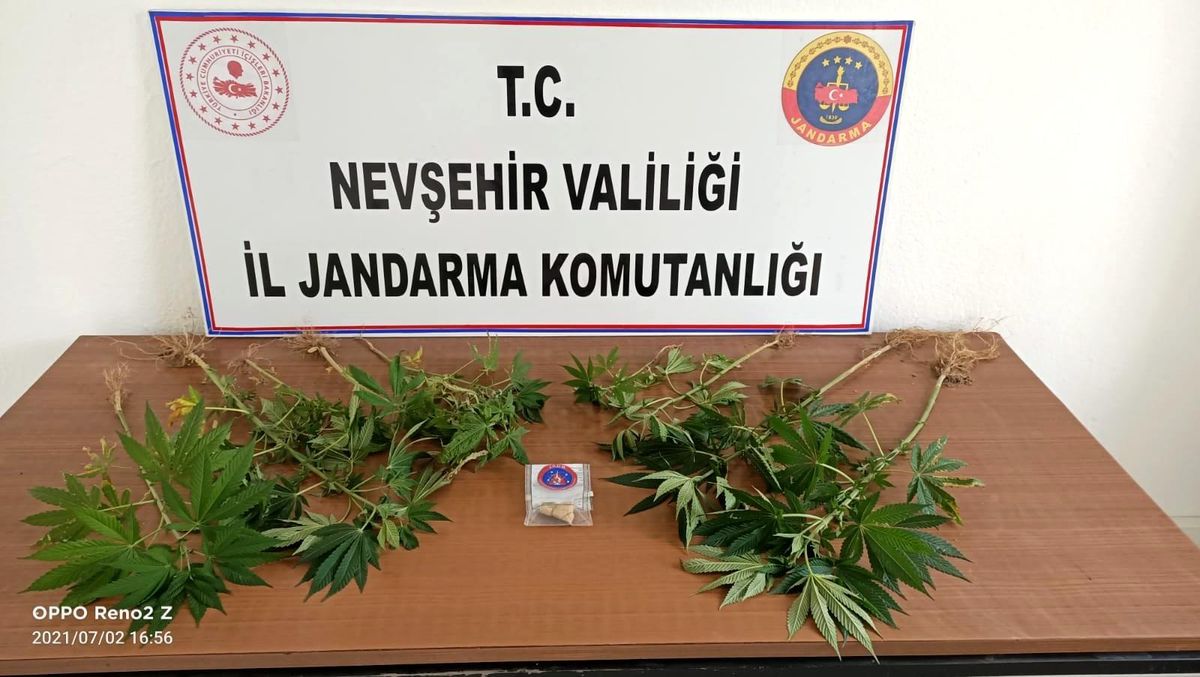 Gülşehir\'de 3 gram esrar, 9 kök kenevir ele geçirildi