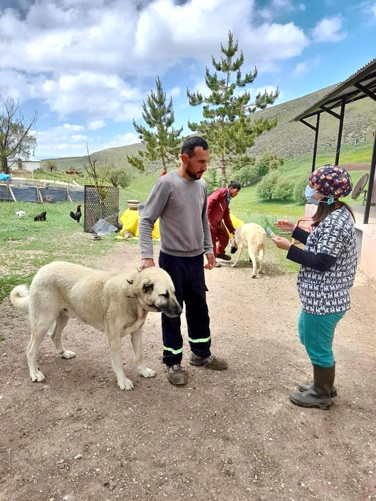 İmranlı\'da üreticiler delibaş hastalığına ilişkin bilgilendirildi