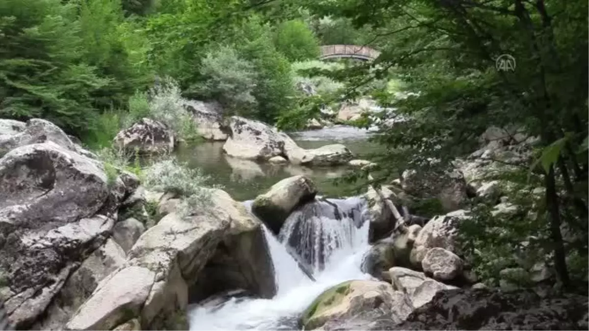 Son dakika haberleri! KASTAMONU - Kazak sanatçı Musayev 3 kilometrelik Horma Kanyonu\'nu dombra çalıp türkü söyleyerek geçti