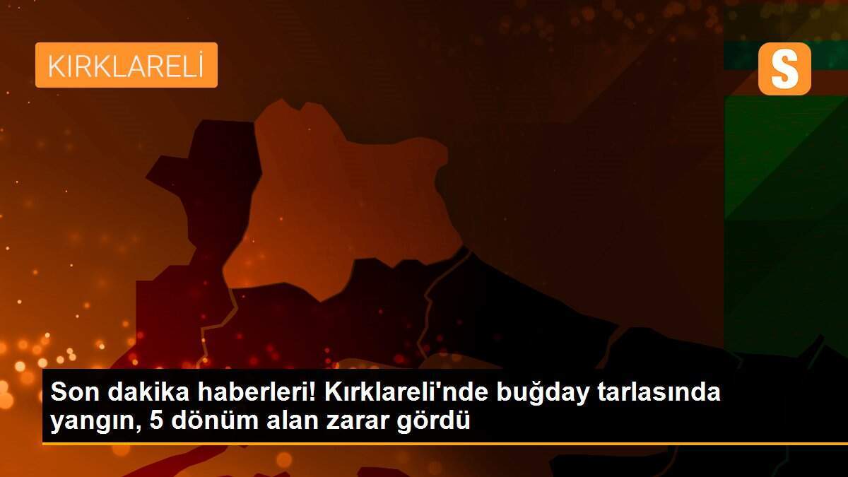 Son dakika haberleri! Kırklareli\'nde buğday tarlasında yangın, 5 dönüm alan zarar gördü
