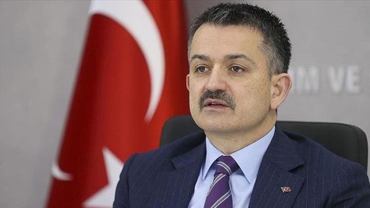 Marmaris\'te yanan orman alanlarının imara açılacağı iddiası