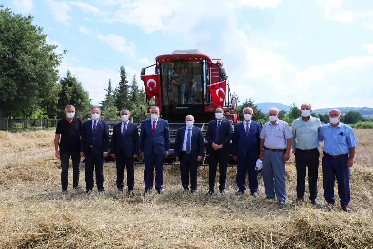 Karakılçık buğdayı hasadı yapıldı