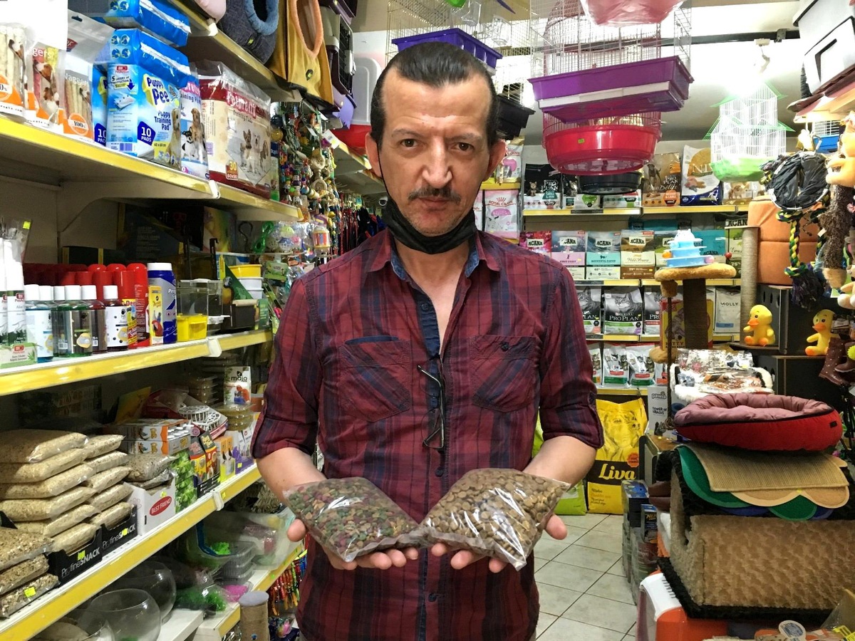 Ucuz kedi mamaları hayvan sağlığını tehdit ediyor