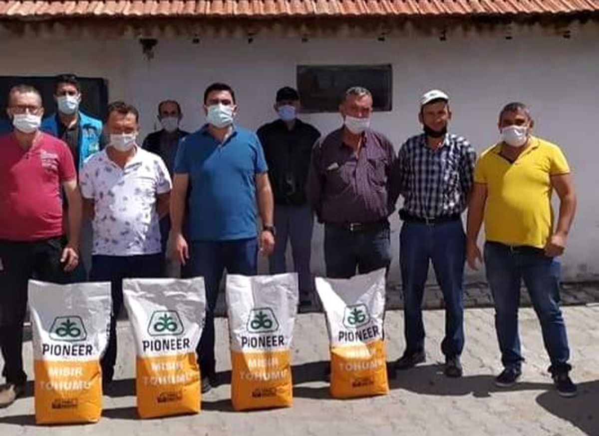 Aslanapa\'da yılda iki kez mısır hasadı yapılacak