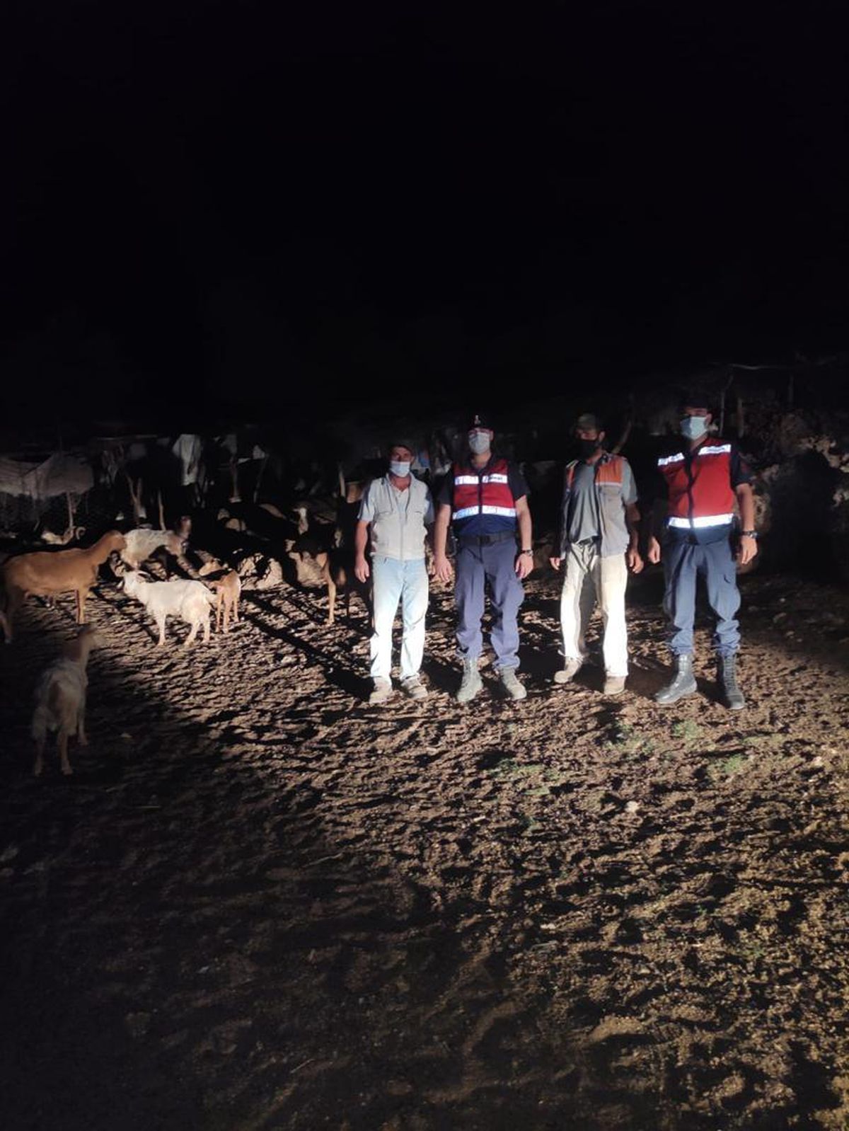 Aydın\'da jandarma kaybolan keçileri drone ile buldu