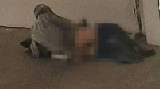 Kopege Tecavuz Ederken Yakalandi Aydin Da Mide Bulandiran Olay Son Dakika Kopege Tecavuz Ederken Yakalandi Aydin Da Mide Bulandiran Olay Son Dakika