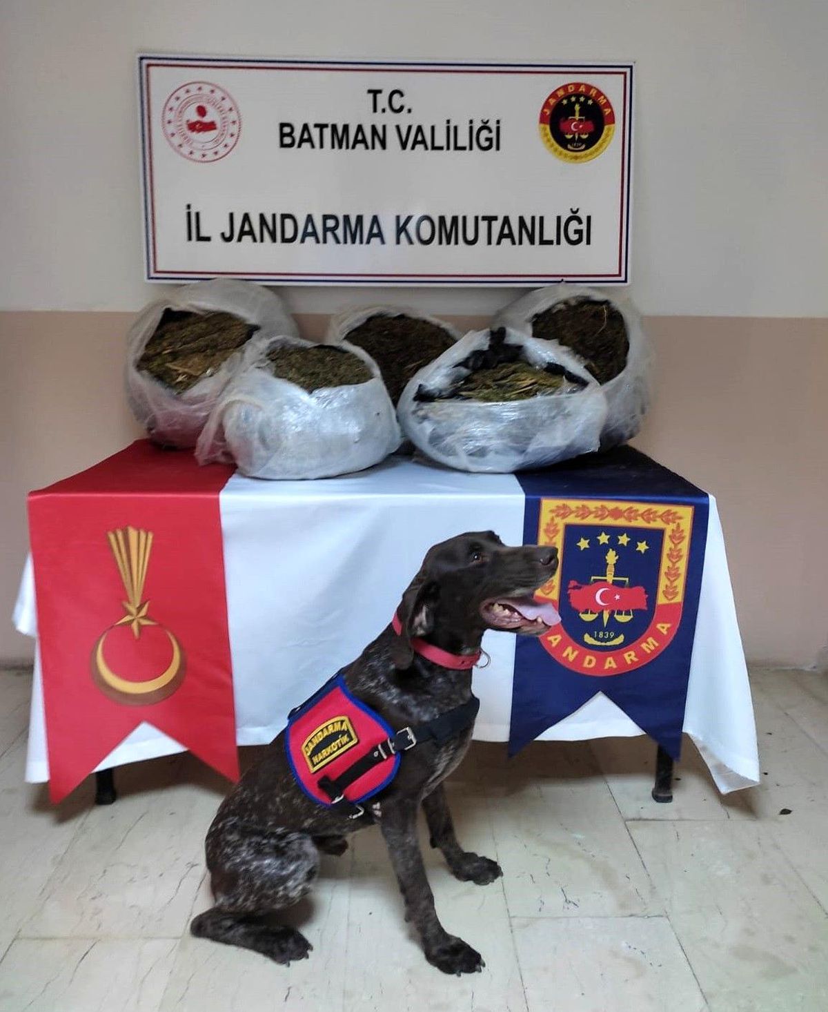 Son dakika haberleri: Batman\'da jandarmadan uyuşturucu operasyonu