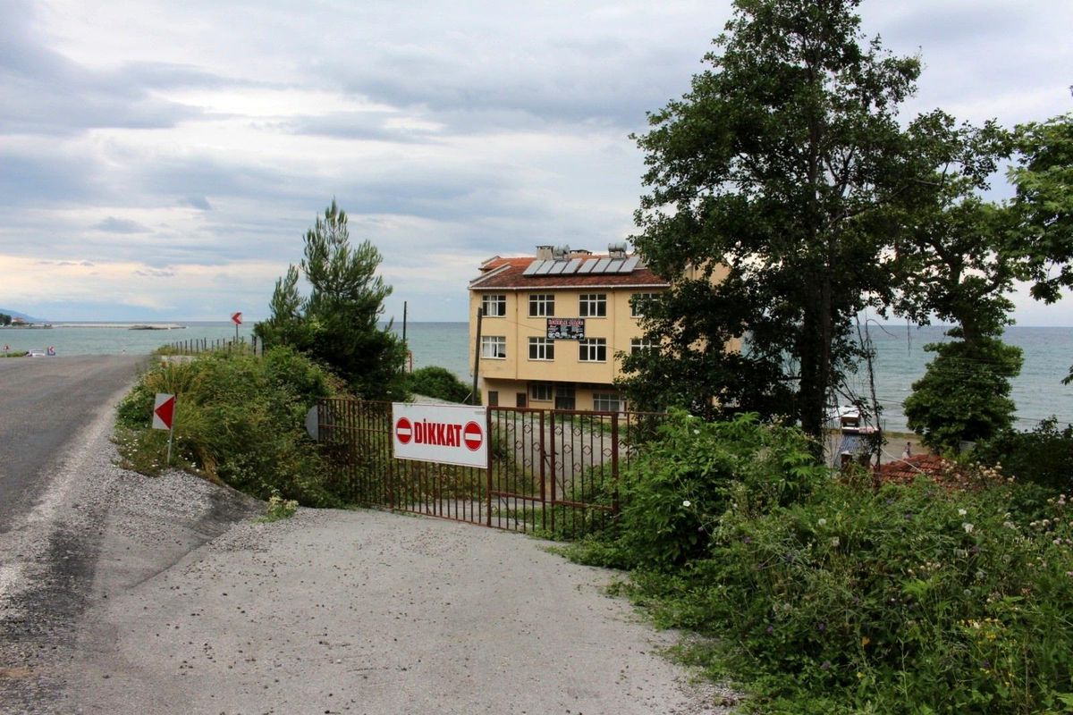 İki köy anlaşamadı, 812 yaşındaki çınar ağacının yolu trafiğe kapatıldı