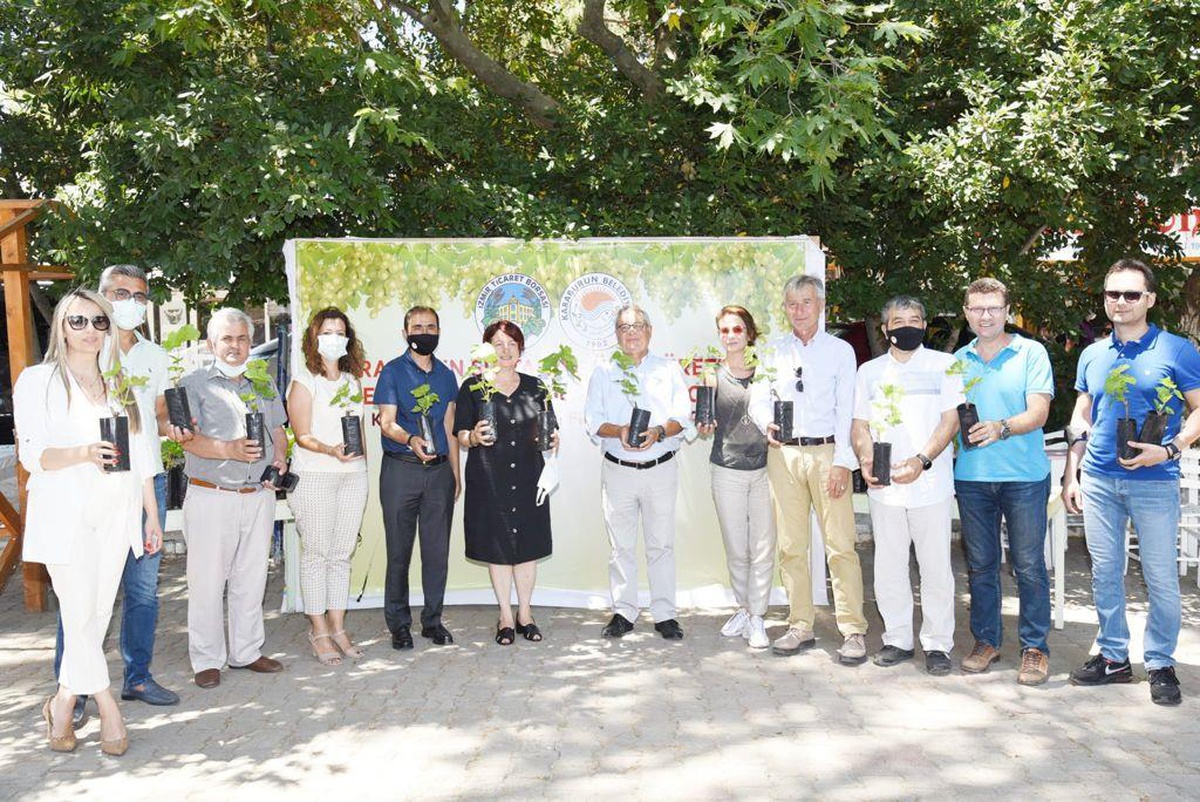İzmir Ticaret Borsası, "Karaburun sultaniye" üzümünün yaygınlaşması için örnek bağ tesisi kurdu