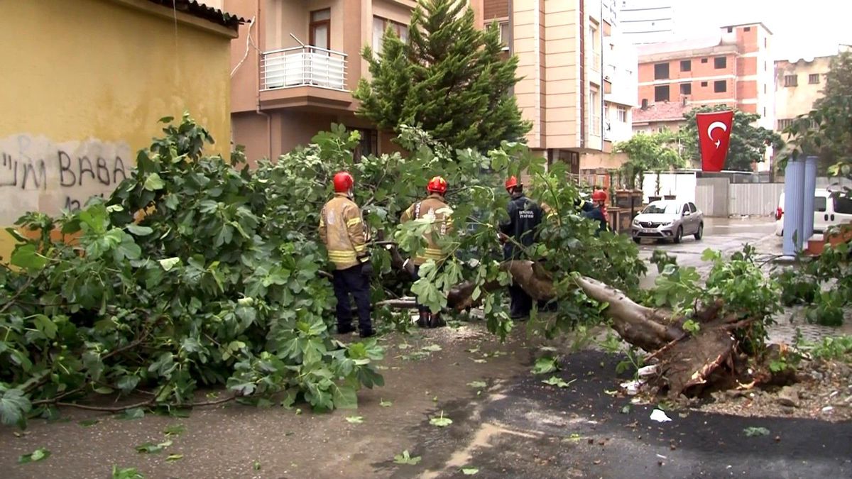 Kartal\'da sağanak yağış nedeniyle ağaç devrildi