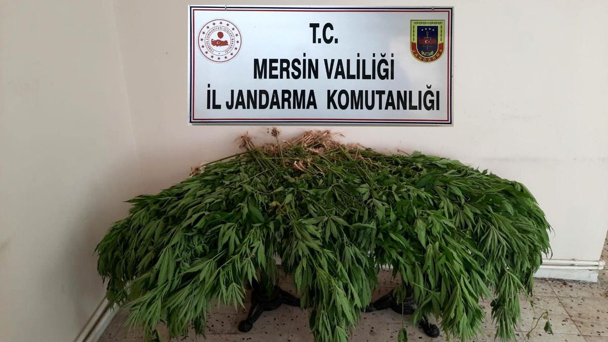 Son dakika haberleri! Mersin\'de uyuşturucu operasyonu