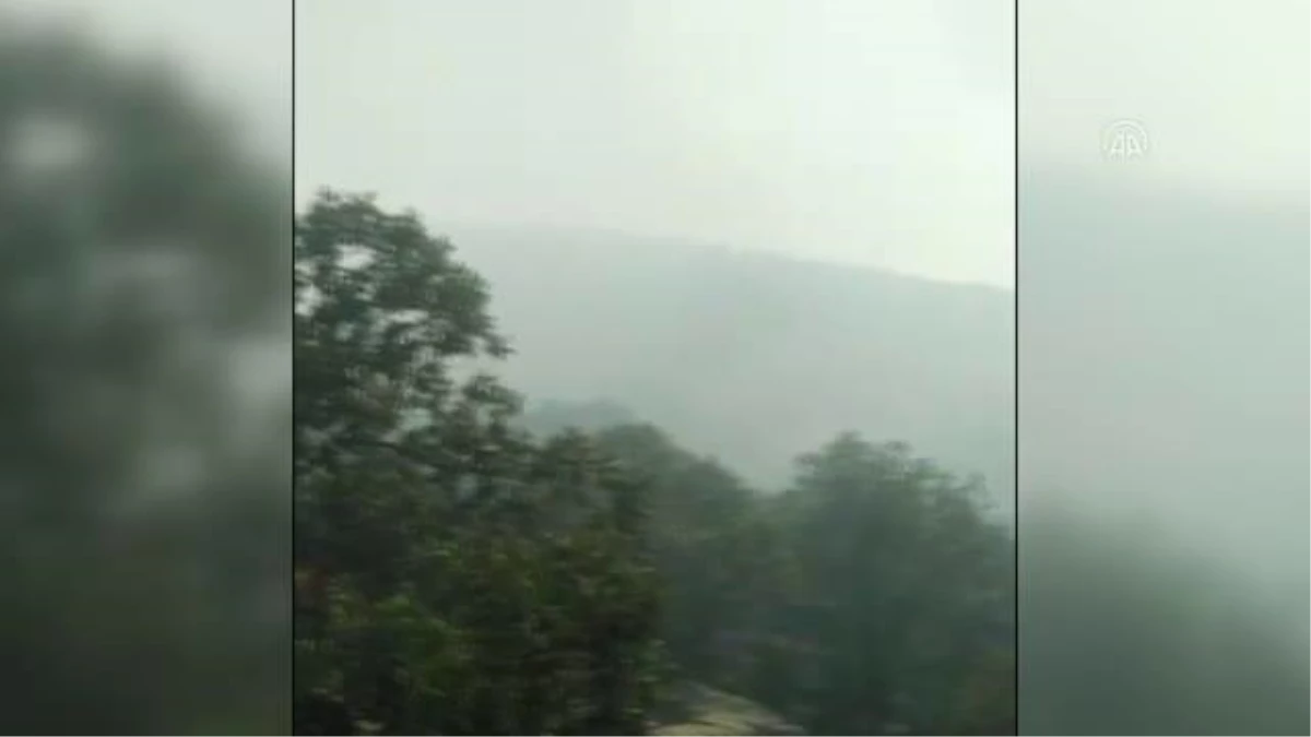 Son Dakika | Ormanlık alanda etkili olan yangın söndürüldü