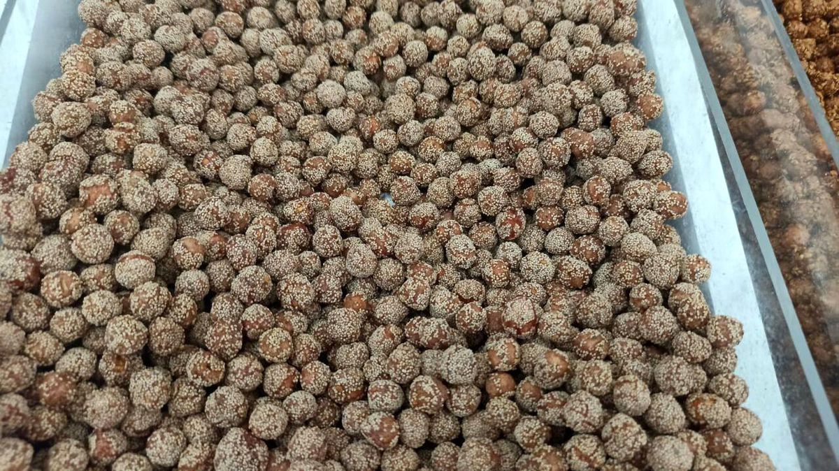 Pandemise dışarıya çıkamayan oturup leblebi yedi