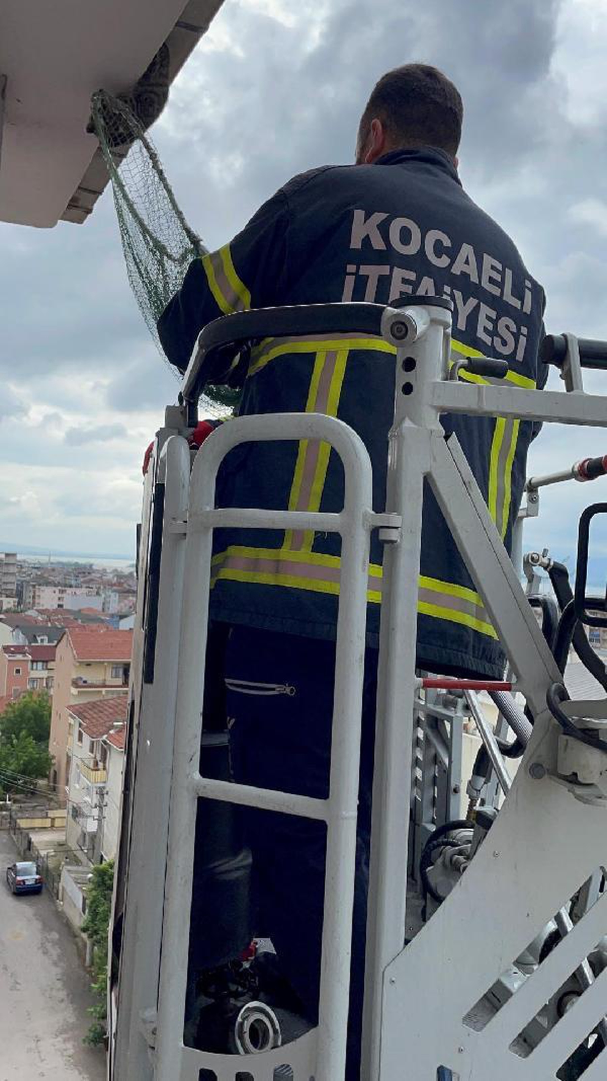 The kitten stuck on the roof saved by the fire department