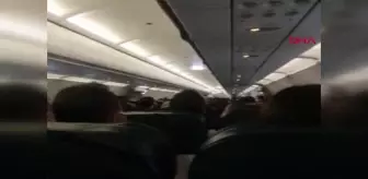 THY uçağına kalkışta kuş çarptı