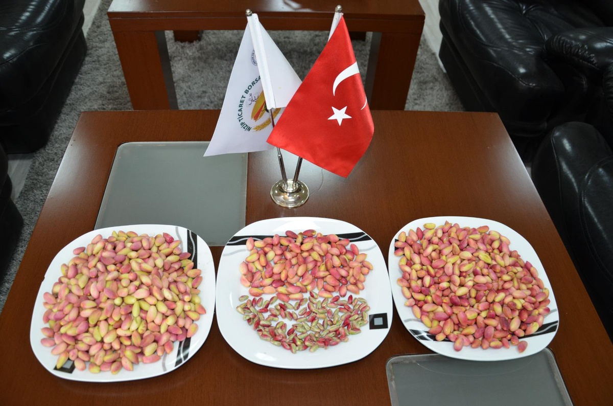 Yılın ilk kırmızı kabuklu Antep fıstığı yetiştiricisi ödüllendirildi