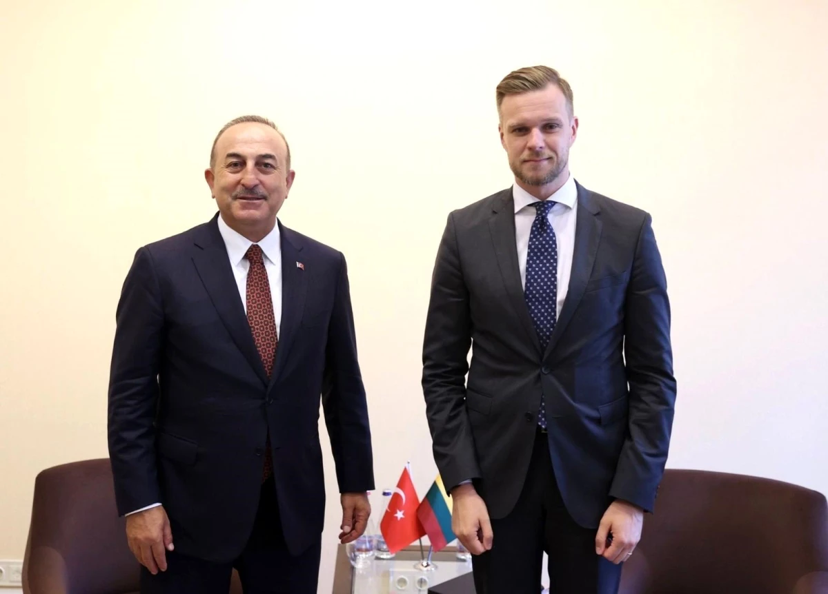 Bakan Çavuşoğlu, Litvanyalı mevkidaşı Landsbergis ile görüştü