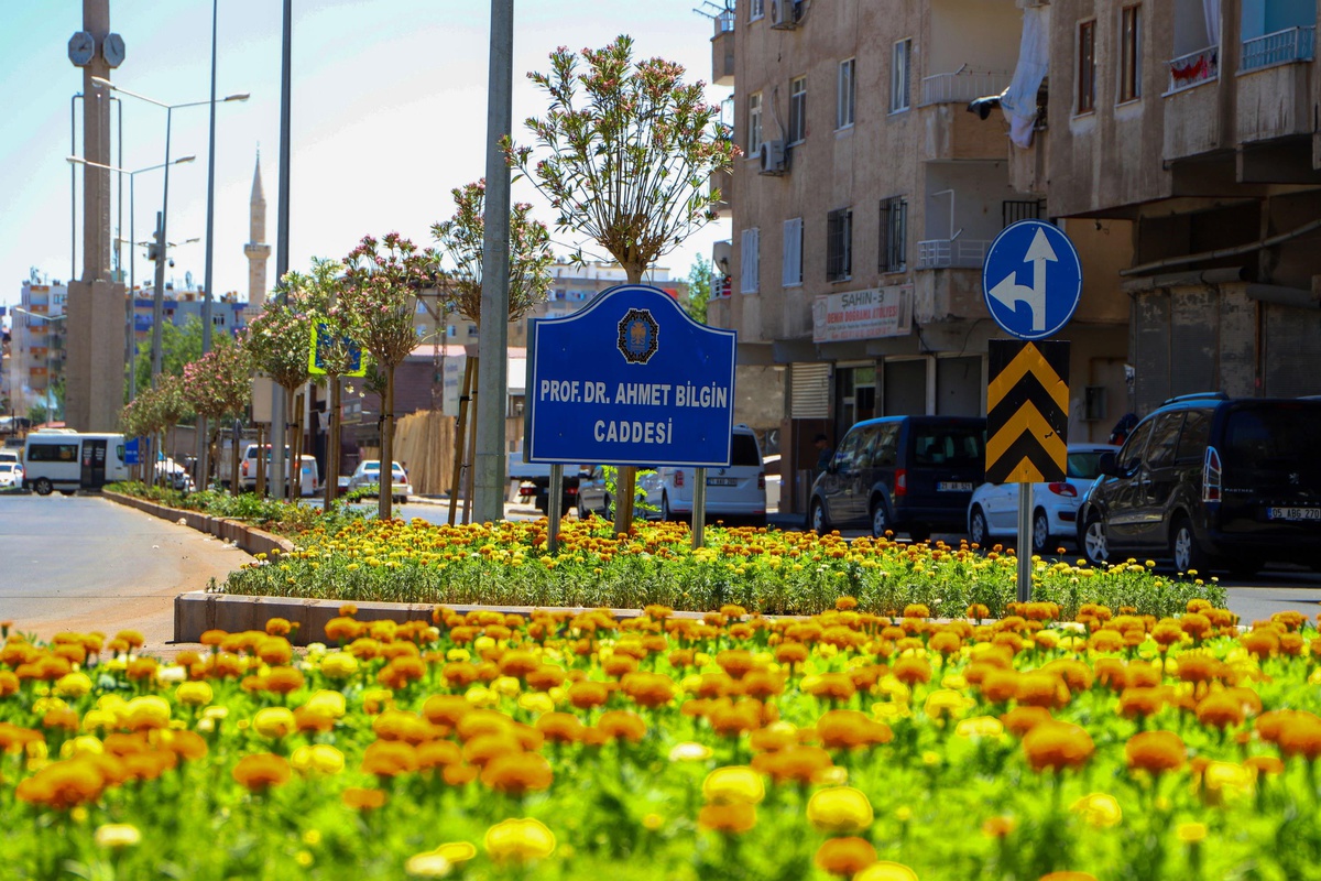 Diyarbakır Büyükşehir Belediyesinin ürettiği çiçekler kenti süsledi