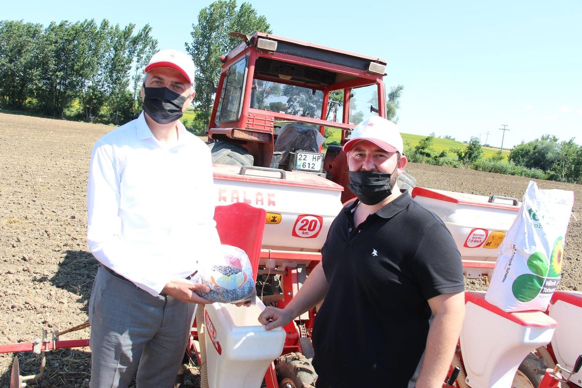 Edirne\'de "ikinci ürün ayçiçeği" üretiminin artırılması amacıyla çiftçilere hibe tohum dağıtıldı