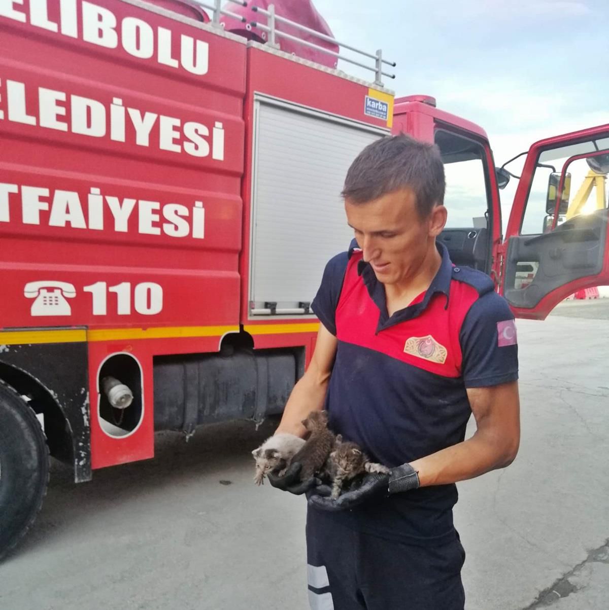 Son dakika haberi | Gelibolu\'da vincin şasisinde doğan kedi yavrularını itfaiyeciler kurtardı