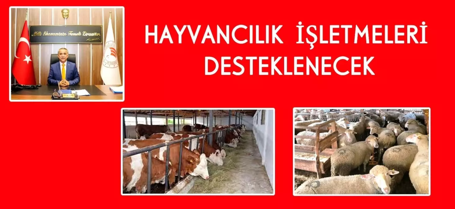 Son dakika haberleri: Hayvancılık yatırım desteği başvuruları başladı