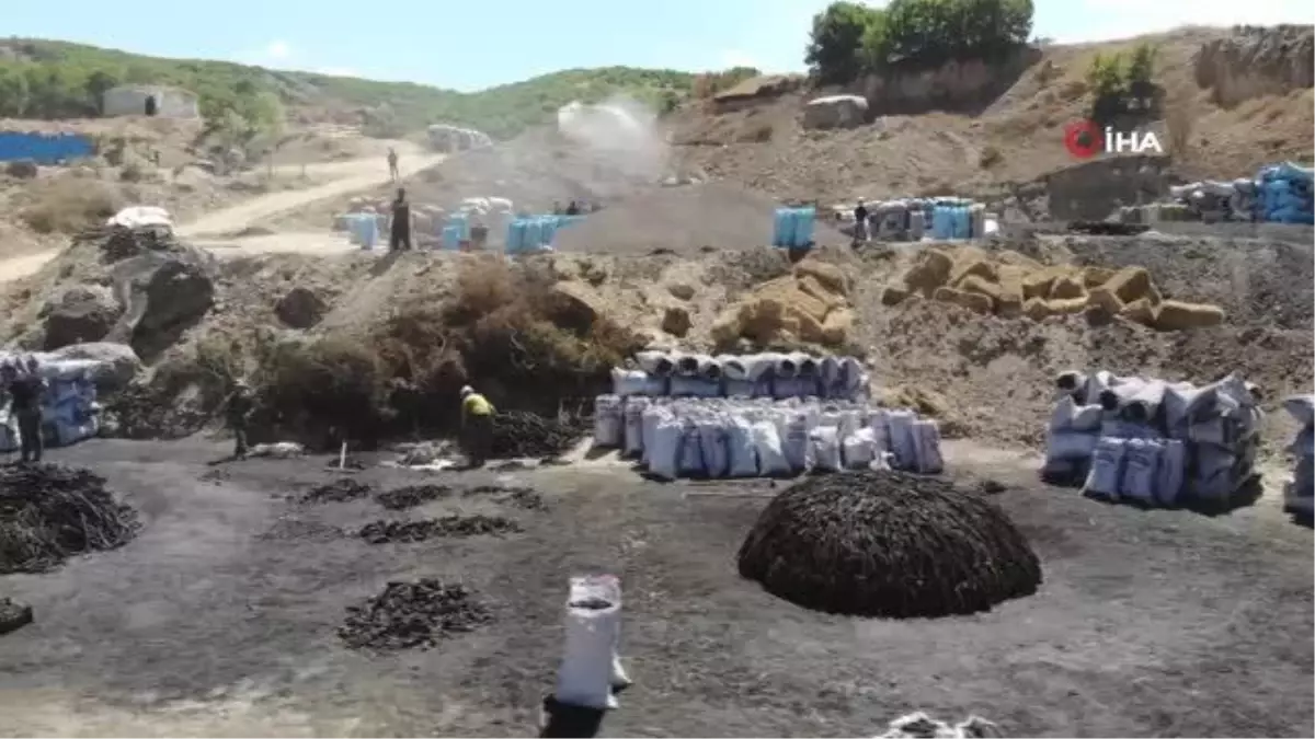 Kavurucu sıcakta kan ter içinde ekmek mücadelesi