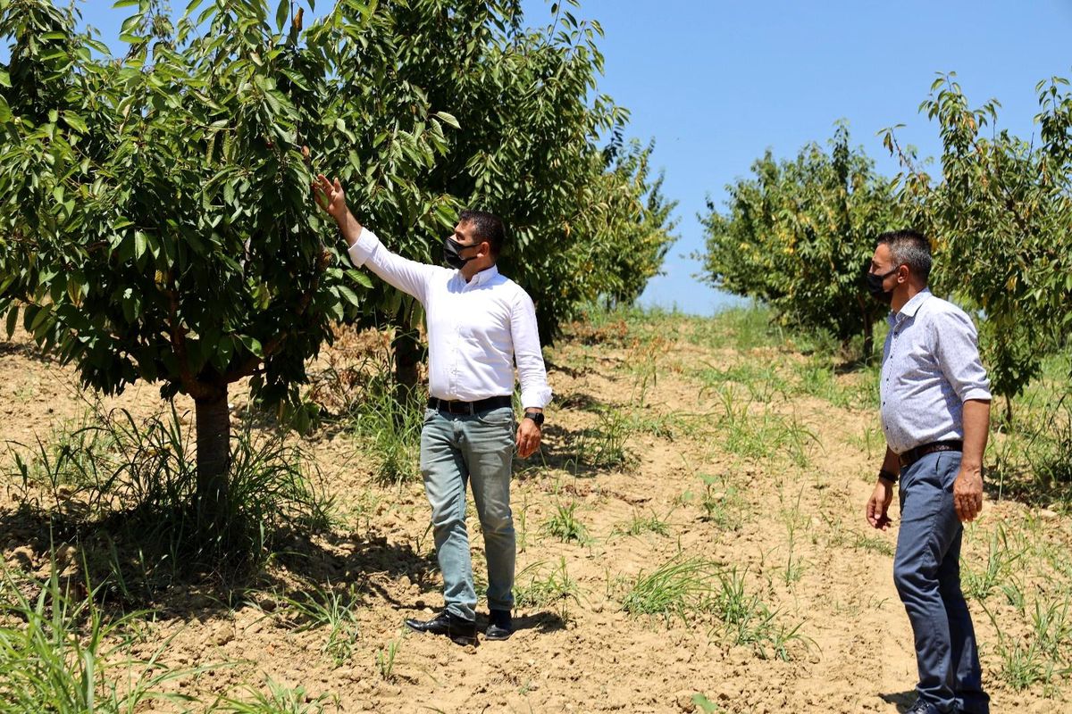 Kiraz üreticilerine manevi destek verdi