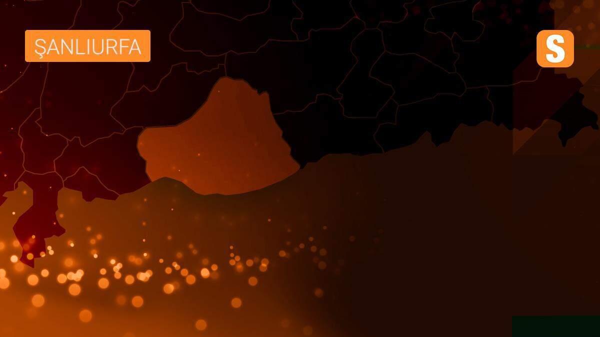 Şanlıurfa\'da otomobille kamyonet çarpıştı: 4 yaralı
