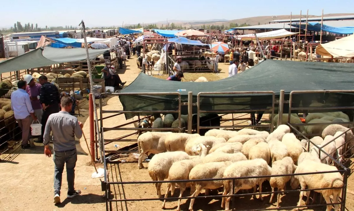 Afyonkarahisar\'da kurban satış ve kesim yerleri belli oldu