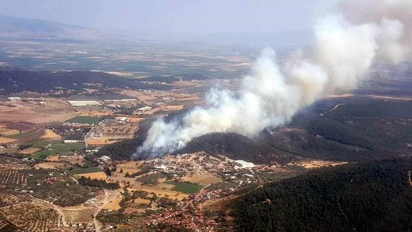 İzmir Foça'da orman yangını! Ekipler havadan ve karadan müdahale ediyor