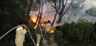 Foça'daki yangının etrafı çevrildi