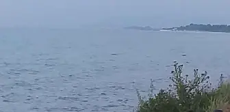 Son Dakika | Gürültü nedeniyle komşusunu öldürüp, 2 kişiyi de yaralayan emekli albay, intihar etti (2)- Yeniden