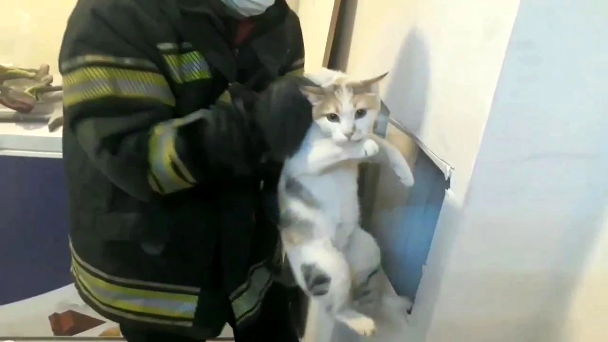 Havalandırma bacasına düşen kediyi itfaiye kurtardı