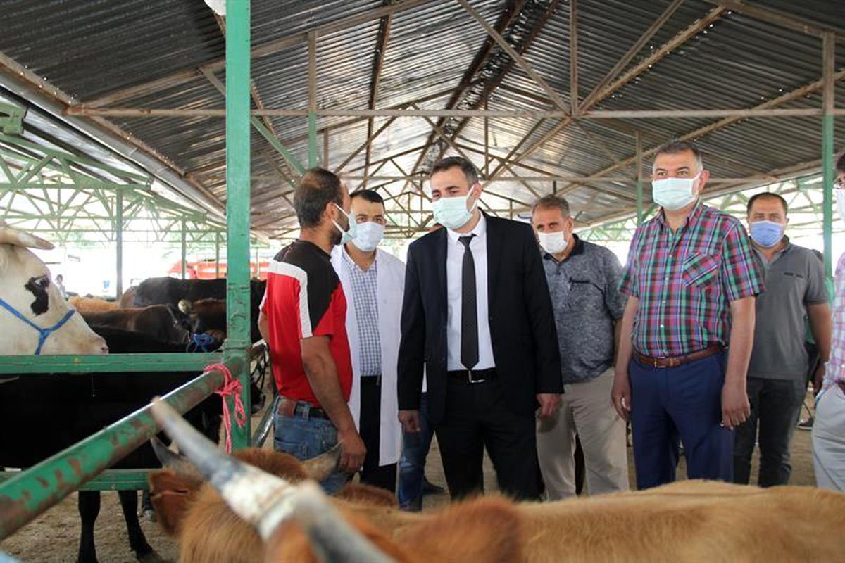 Isparta\'da hayvan pazarlarında denetimler arttırıldı