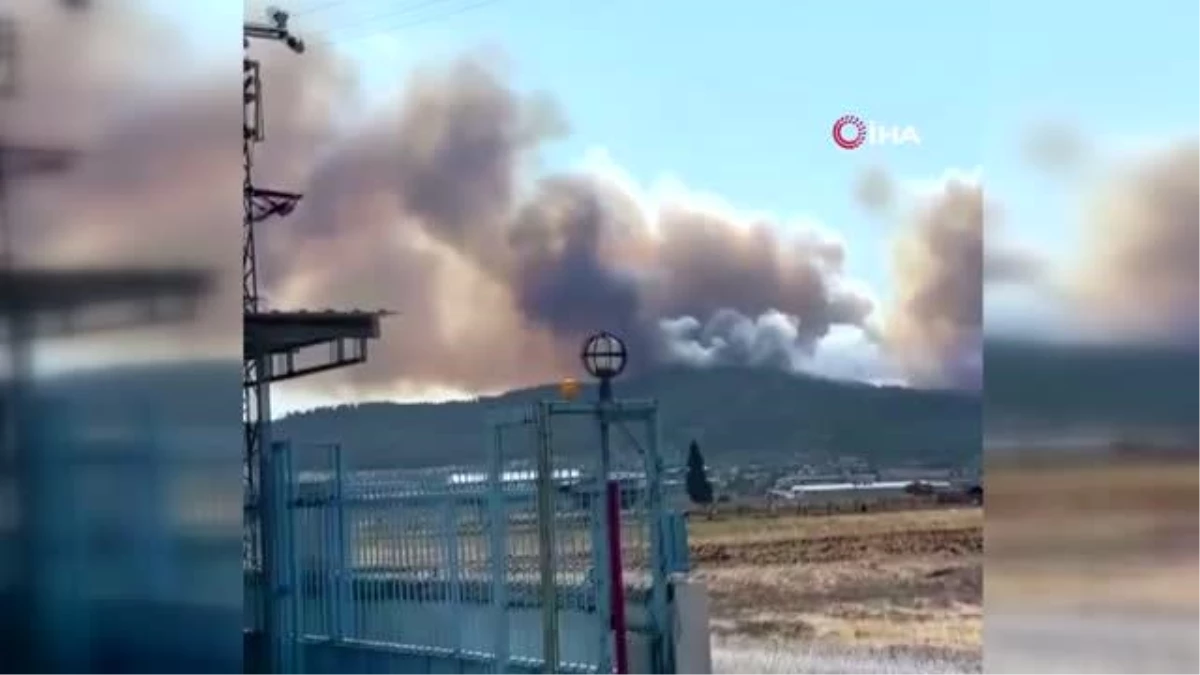 Son dakika haberleri! İzmir\'de ormanlık alanda yangın